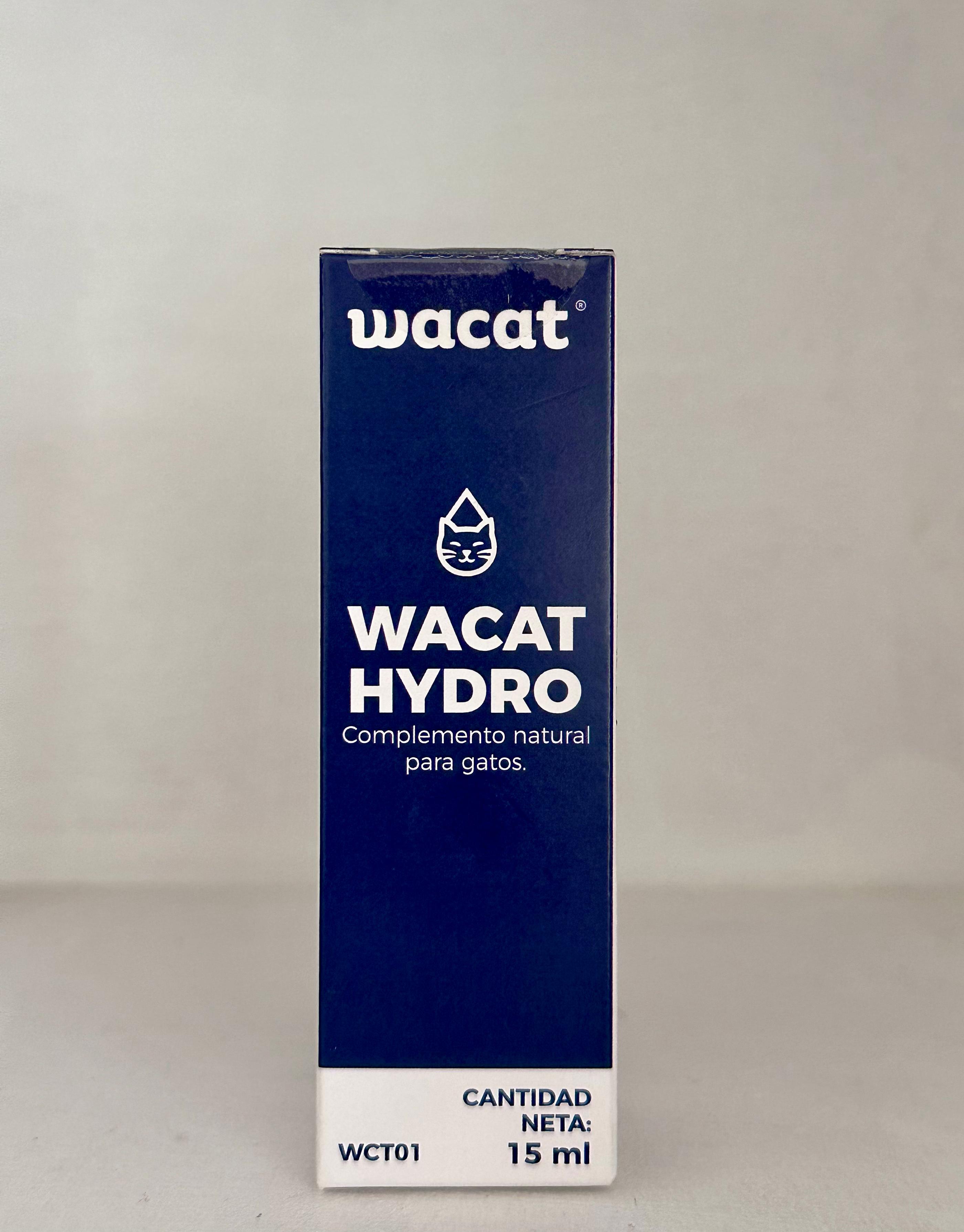 Wacat Hydro - Plan 90 días